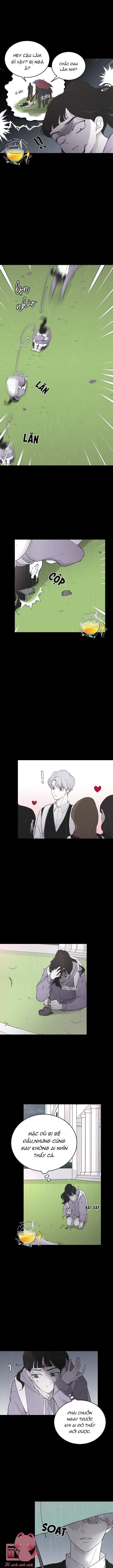 ba anh trai cực phẩm của tôi chapter 6 4