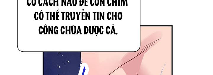 công chúa của loài chim chapter 50.1 263