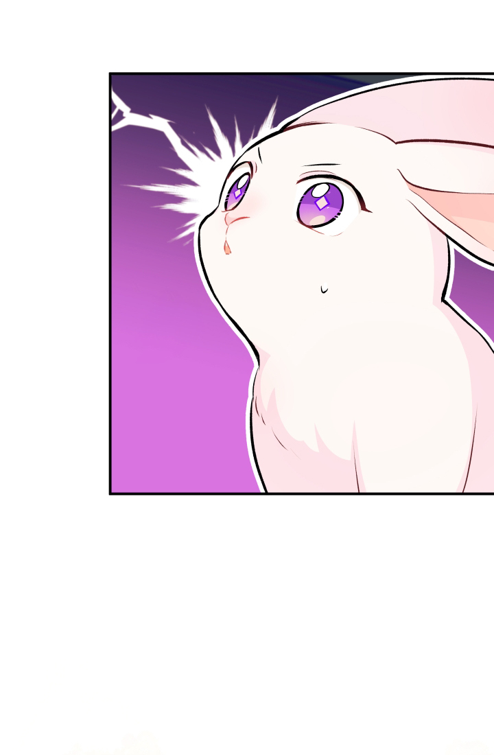 mối liên kết giữa báo đen và bé thỏ chapter 3 43