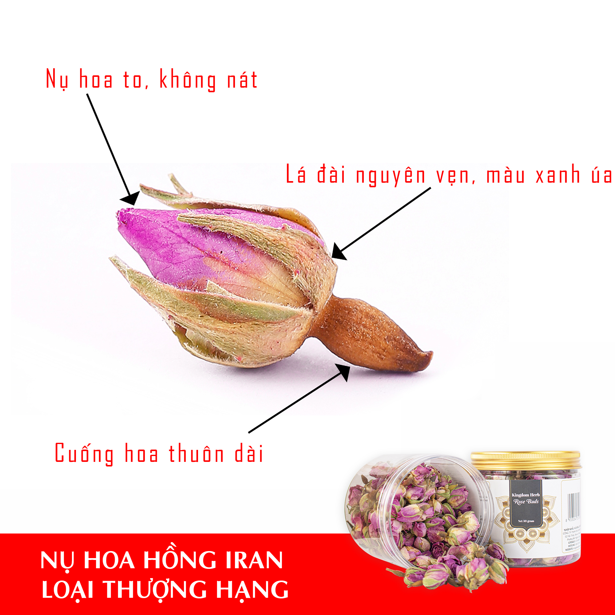 Trà hoa hồng khô Kingdom Herb Iran chính hãng hộp 50 gram, nụ hoa hồng khô thượng hạng (Tặng bình nước thủy tinh)