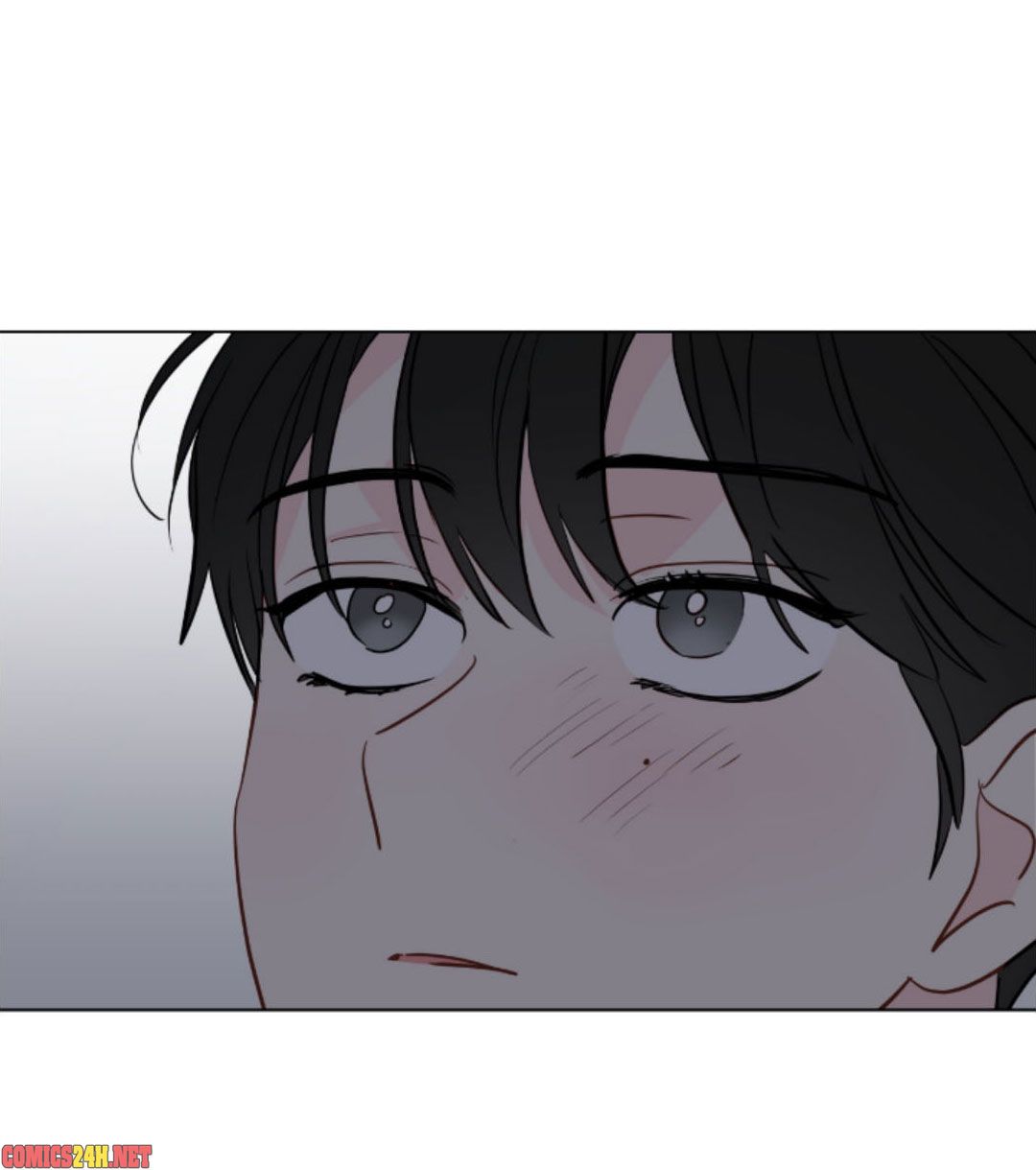 chỉ là giấc mơ thôi phải không? chapter 48 56