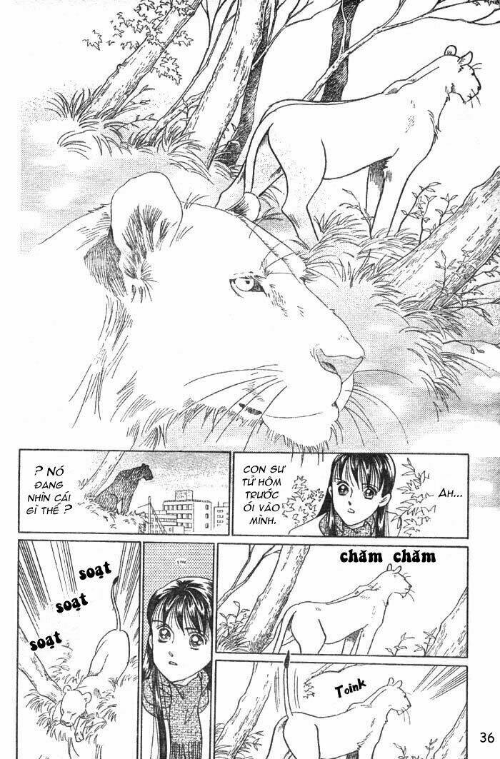 wild cats chapter 1 39