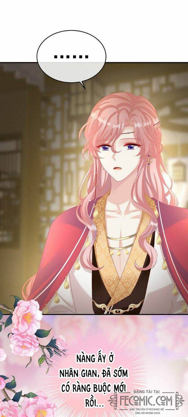 kiều phu có hỉ chapter 69 25