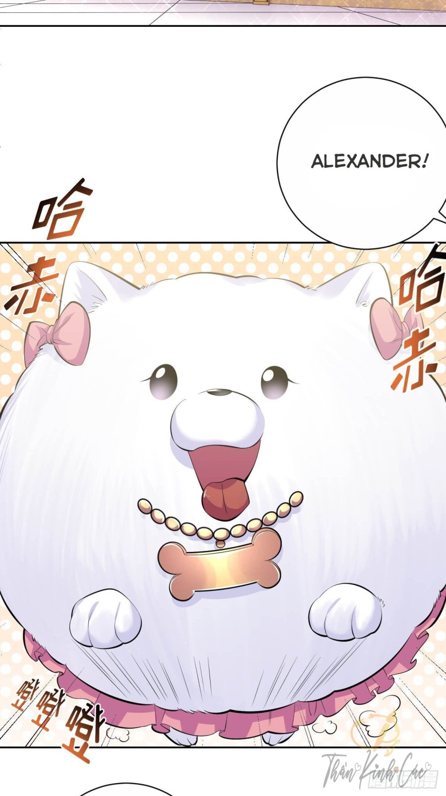 nhạc phụ đại nhân là bà xã chapter 28 2