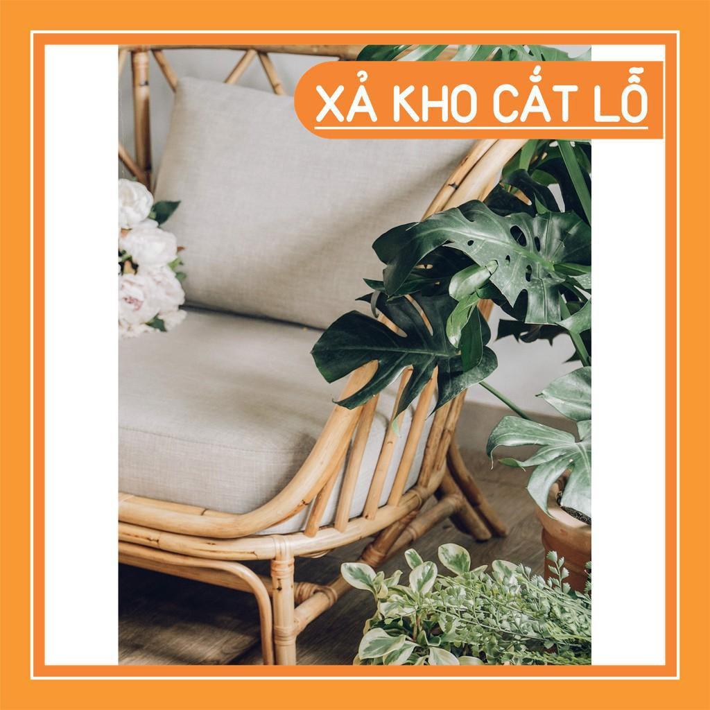 Ghế sofa mây vòng đơn CAO CẤP nội thất phòng khách, khách sạn, quán cafe, homestay