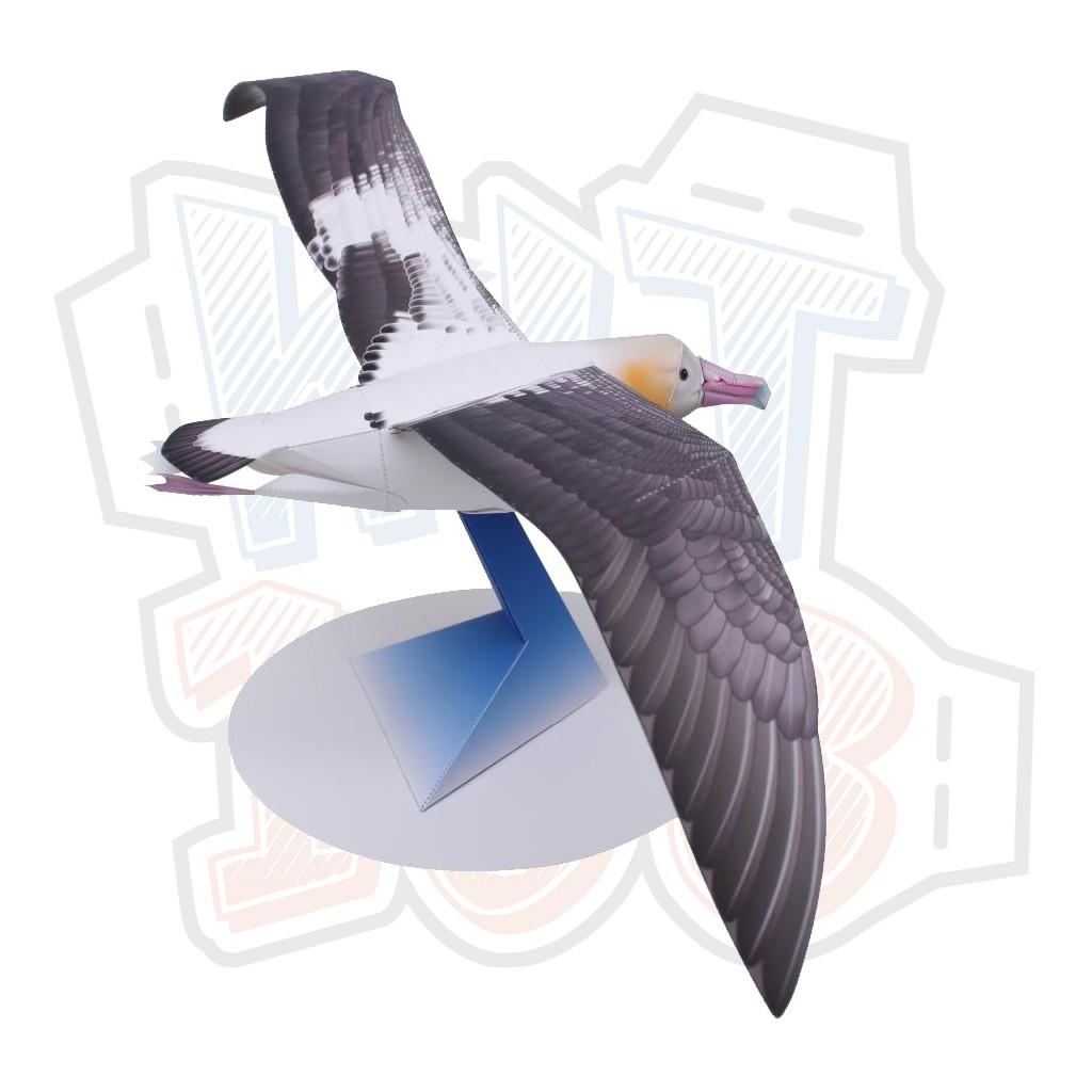 Mô hình giấy động vật Chim Hải Âu