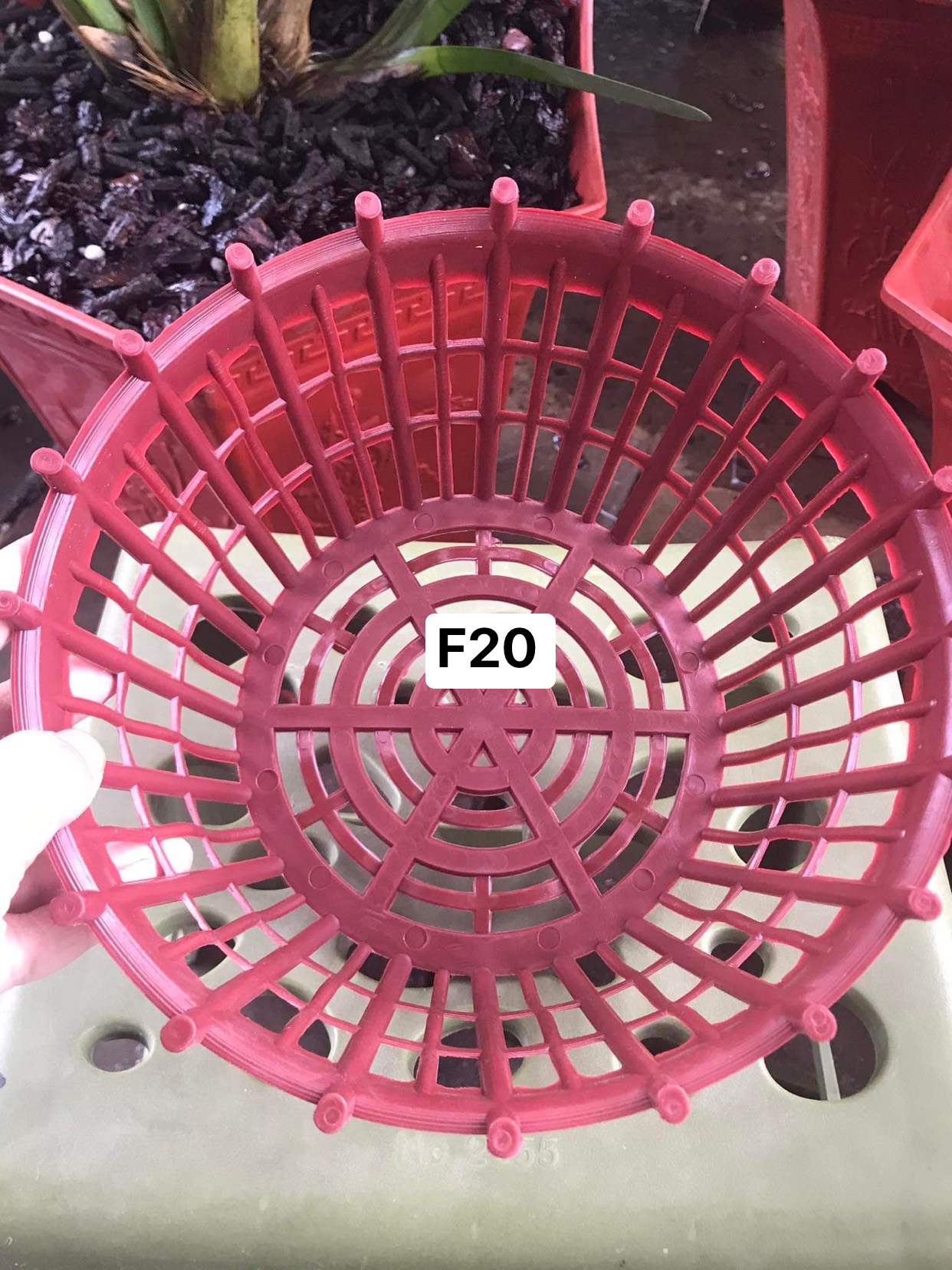 Set 10 chậu nhựa HD có nan phụ f20