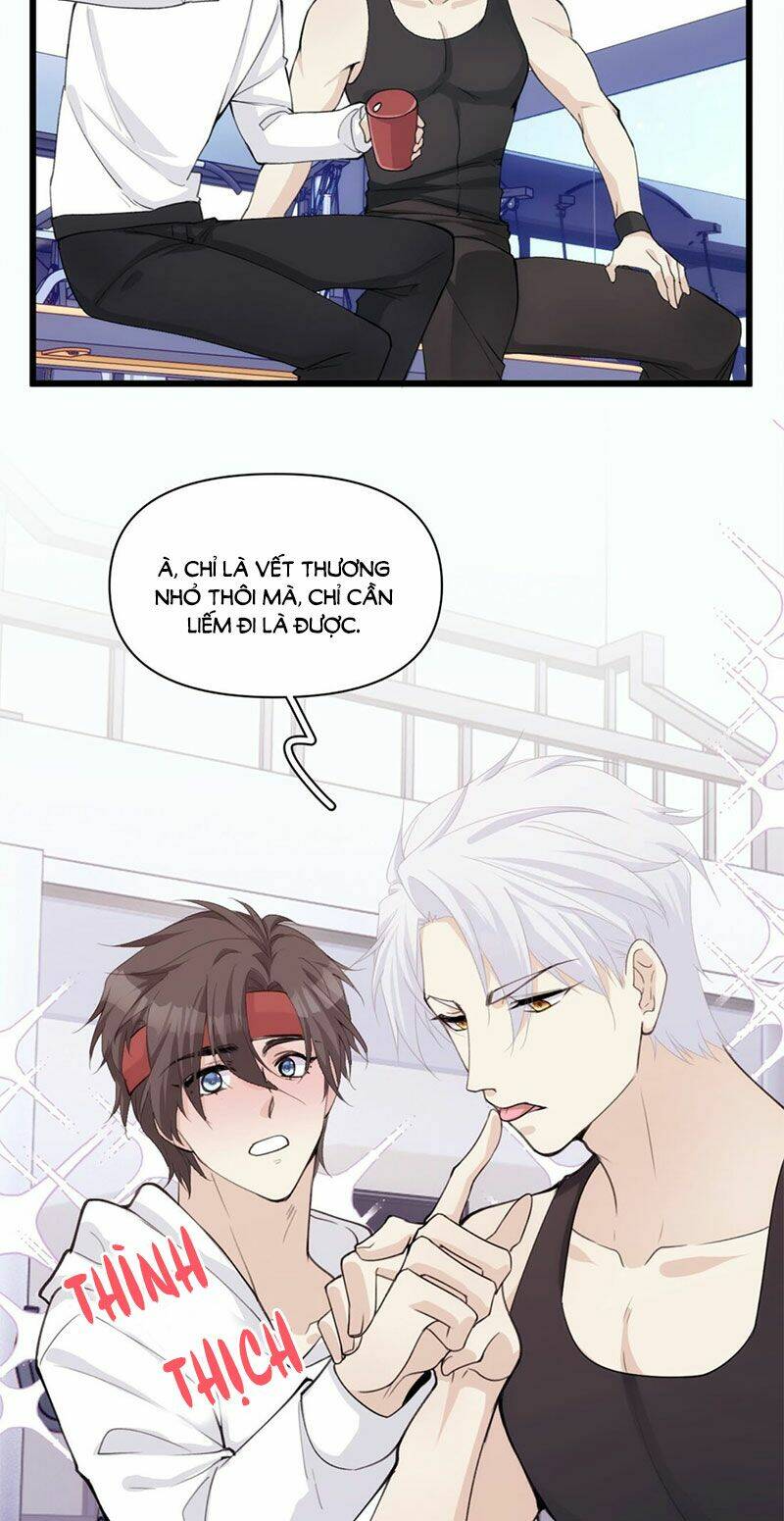 dù là sói cô độc cũng có tình yêu của sẻ nhỏ chapter 38 21