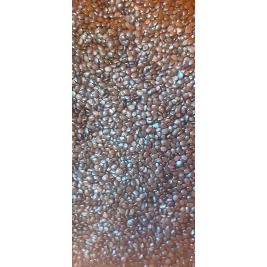 Hạt giống keo tràm bông vàng trồng rừng, cải tạo đất - túi 50gram
