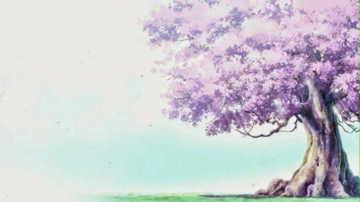 hình đẹp wallpaper chapter 1 23