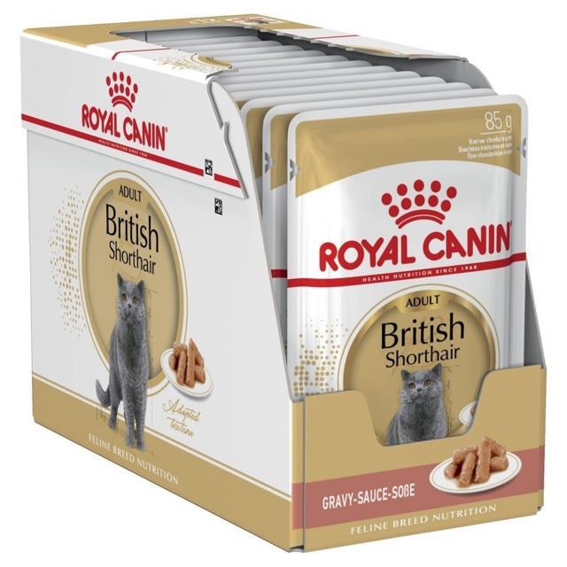pate súp dành riêng cho mèo anh lông ngắn (British shorthair) royal canin