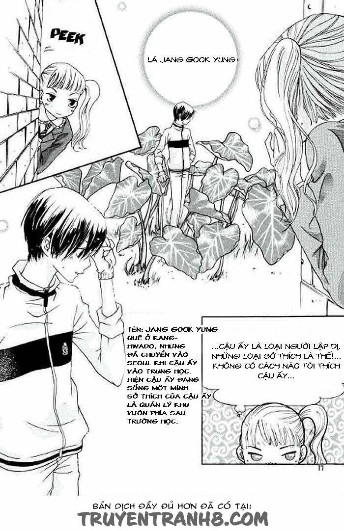 be my sweet darling chapter 1 10