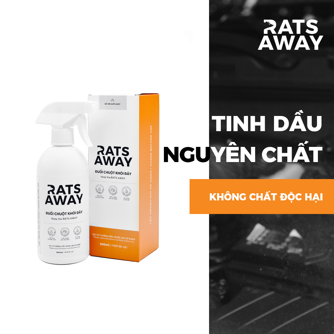 Chai xịt đuổi chuột chuyên dụng cho ô tô RATS AWAY 500ml