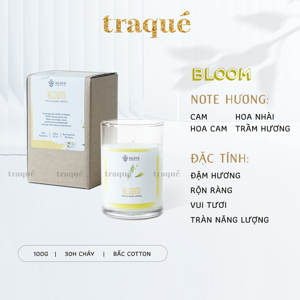 Nến thơm Candle Cup/Agaya - Hương Hoa BLOOM