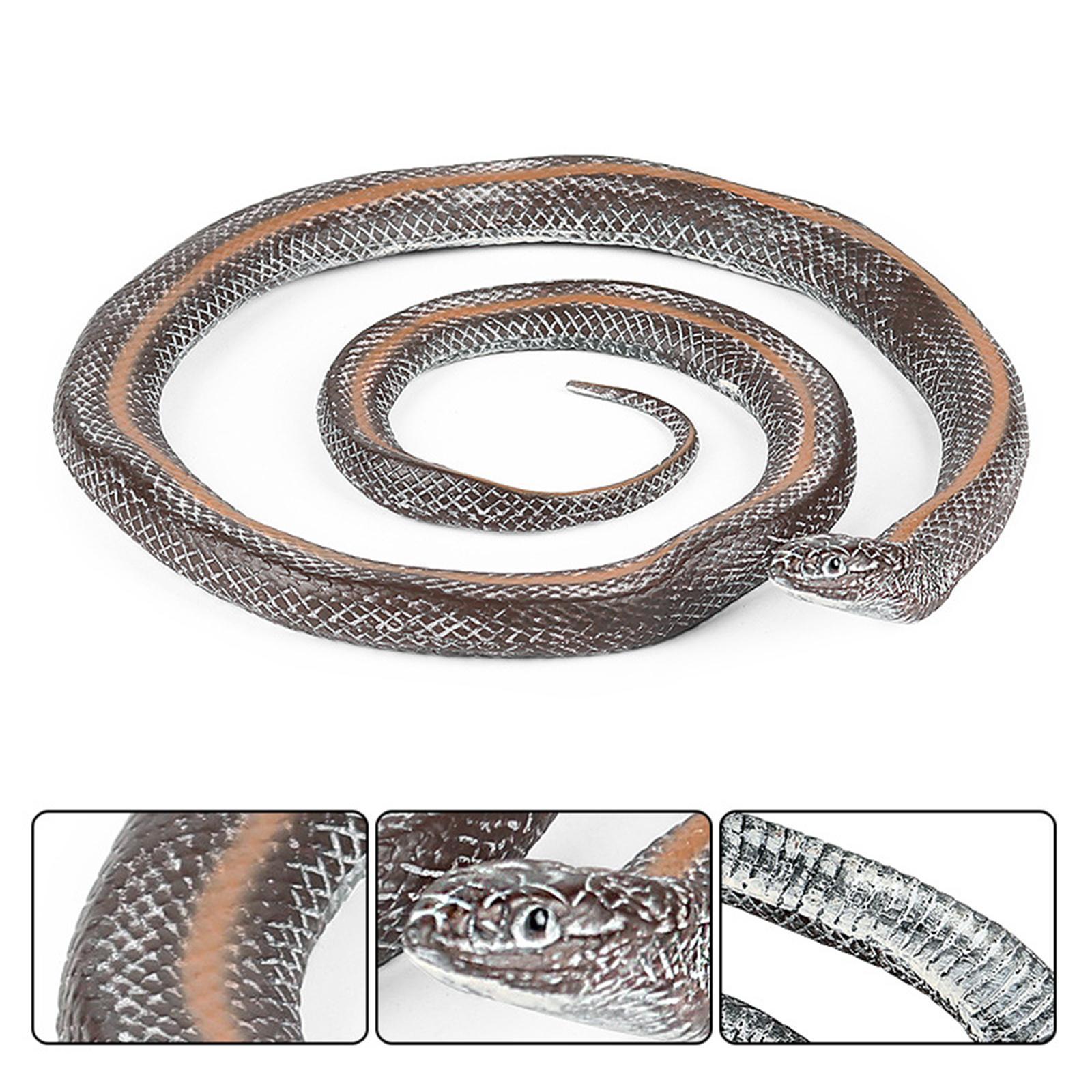 Simulation Fake  Photo Props Educational Durable Statue 17cm for Home