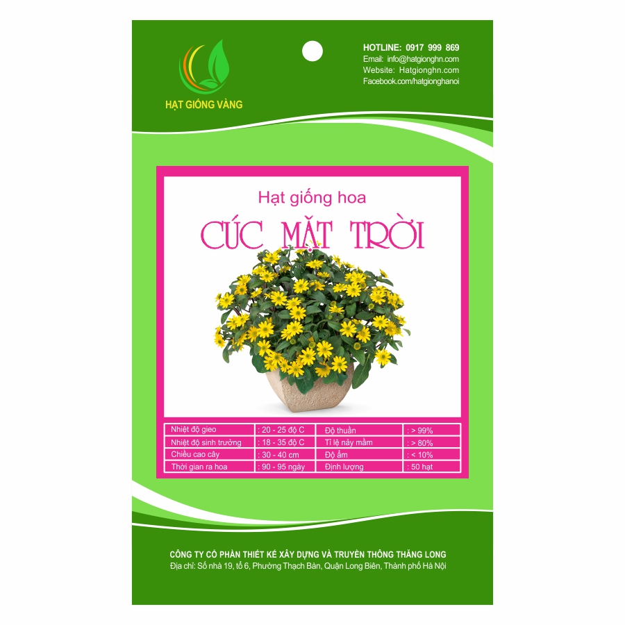 Hạt giống hoa Cúc mặt trời Golden Seeds F1 50 Hạt