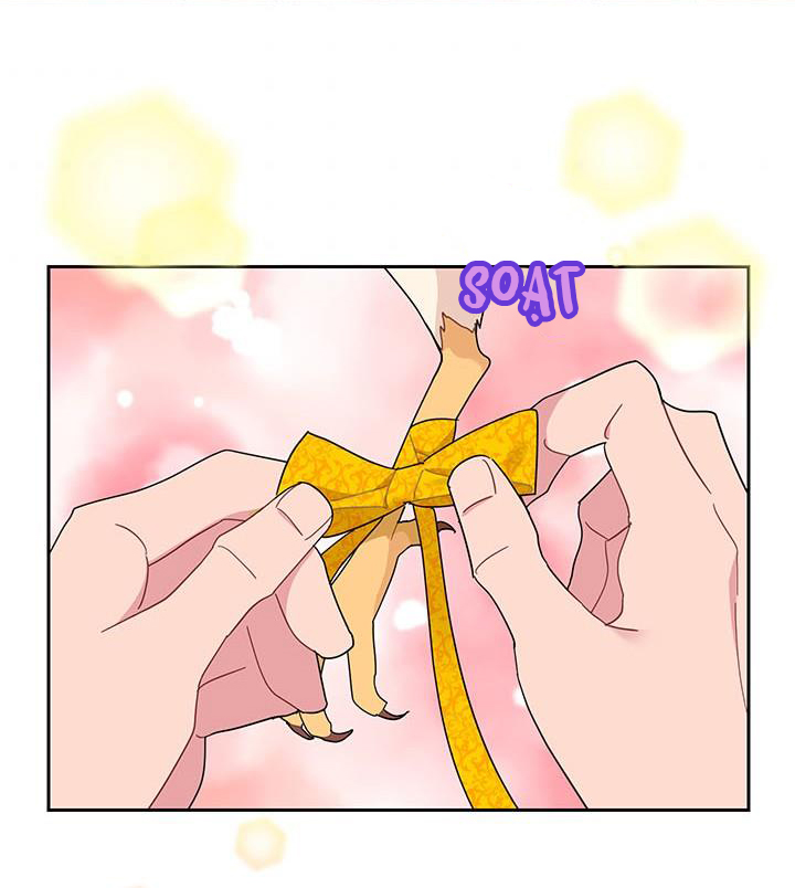 công chúa của loài chim chapter 24 34