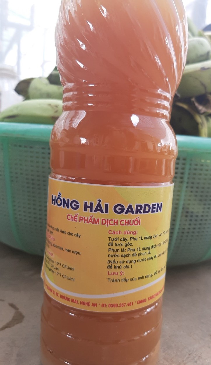 Dịch chuối chai 1l