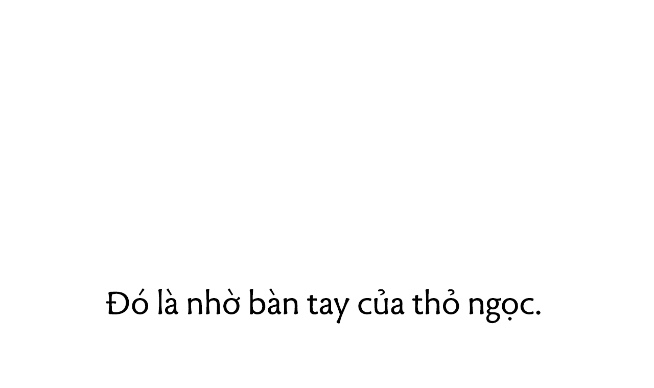 đàn thỏ của habibi chapter 40 223