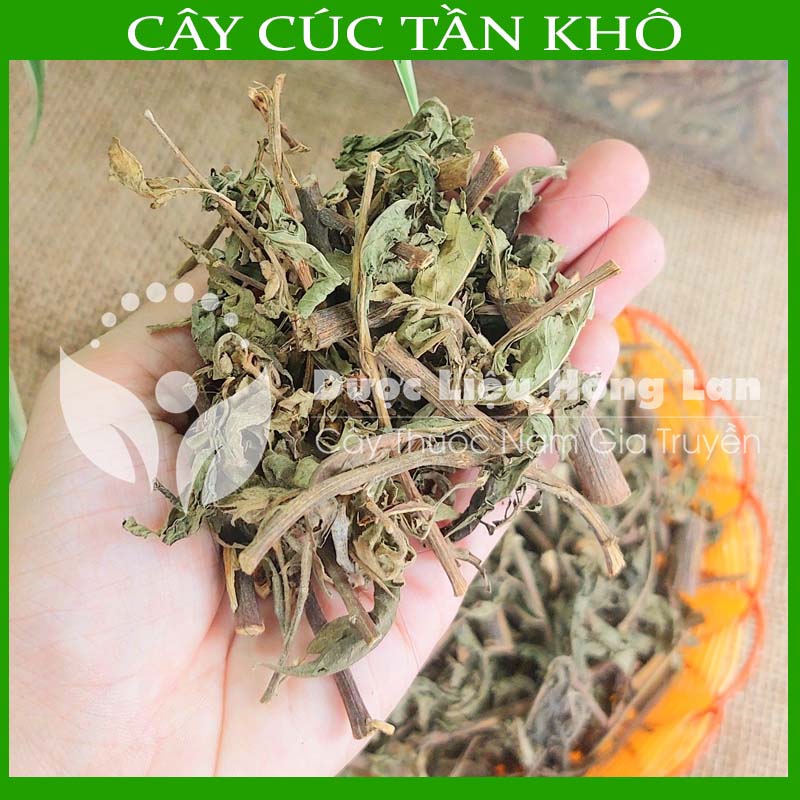 Cây Cúc Tần (Từ Bi, Đại Bi) khô gói 500g