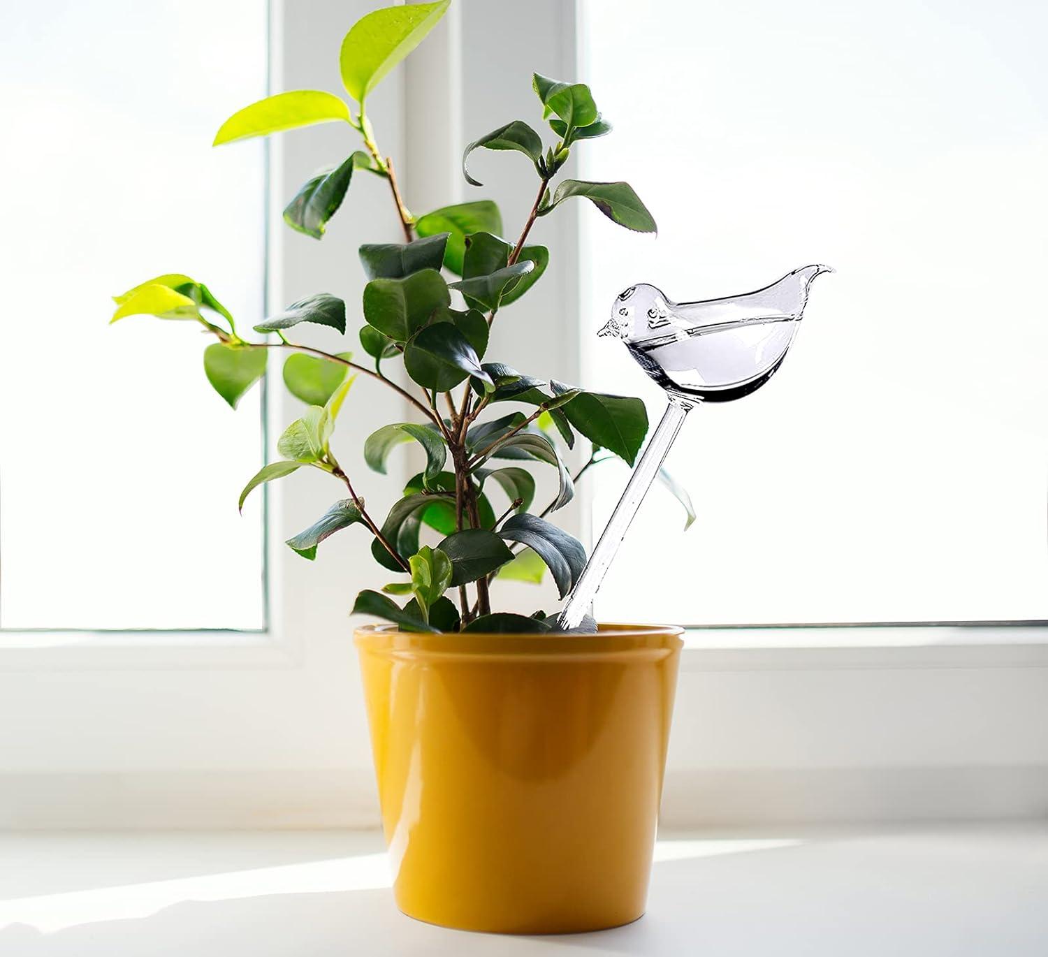 Bộ 6 quả cầu tưới nước có gai tự tưới hình con chim cho cây trồng, trong nhà và ngoài trời
