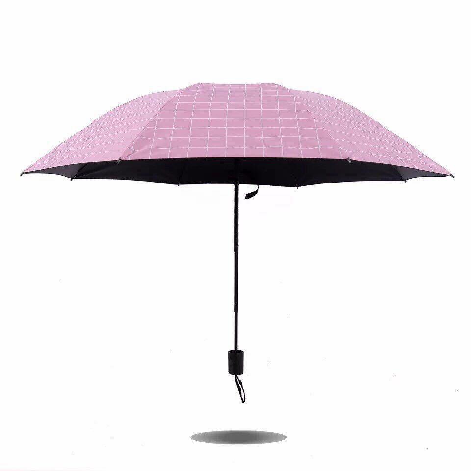 Ô kẻ gấu gấp gọn.