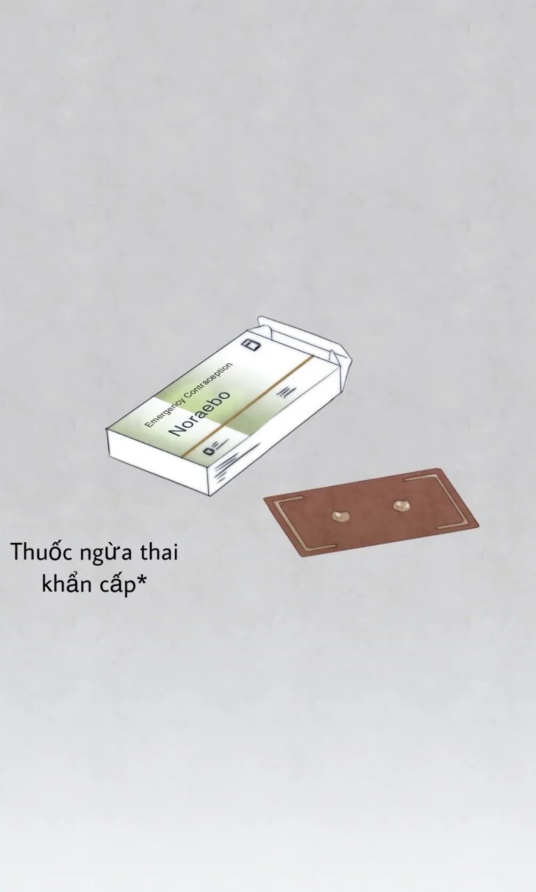 summer solstice point chapter 10 61