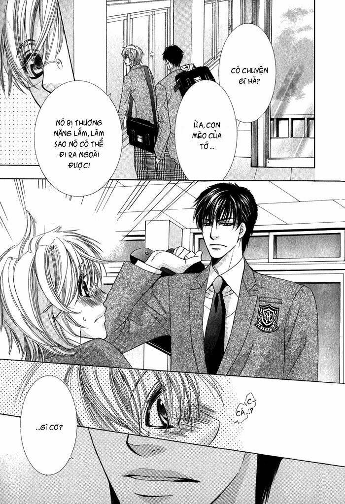 neko mata chapter 1 14