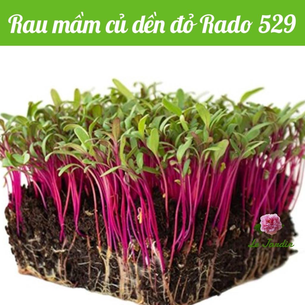 Hạt giống rau mầm củ dền đỏ gói 10gr