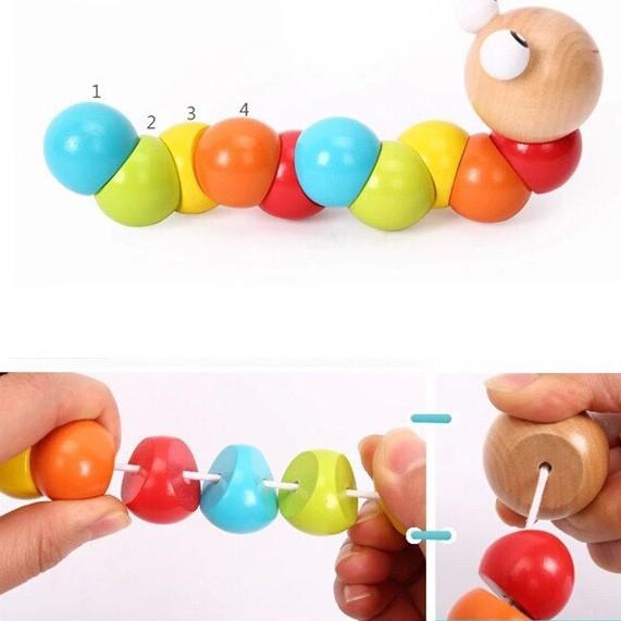 SÂU GỖ 7 MÀU UỐN DẺO