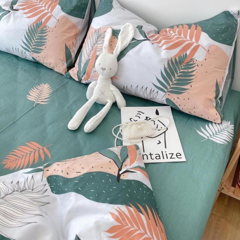 Bộ chăn ga gối Cotton Living đủ size giường nệm đủ kích thước từ 1m2 đến 2m*2m2