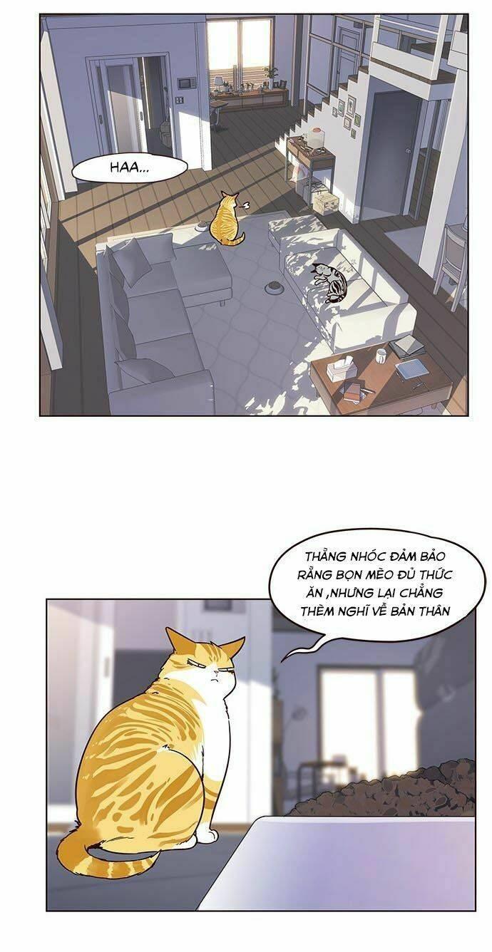 biến thân thành mèo chapter 9 26