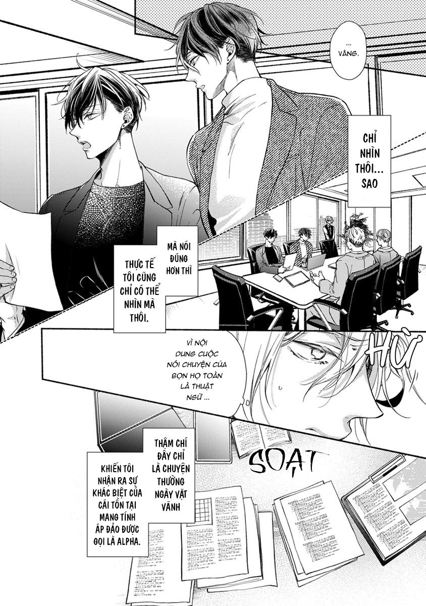 omega giả vờ kiên cường đó là bạn tình của tôi chapter 1 24