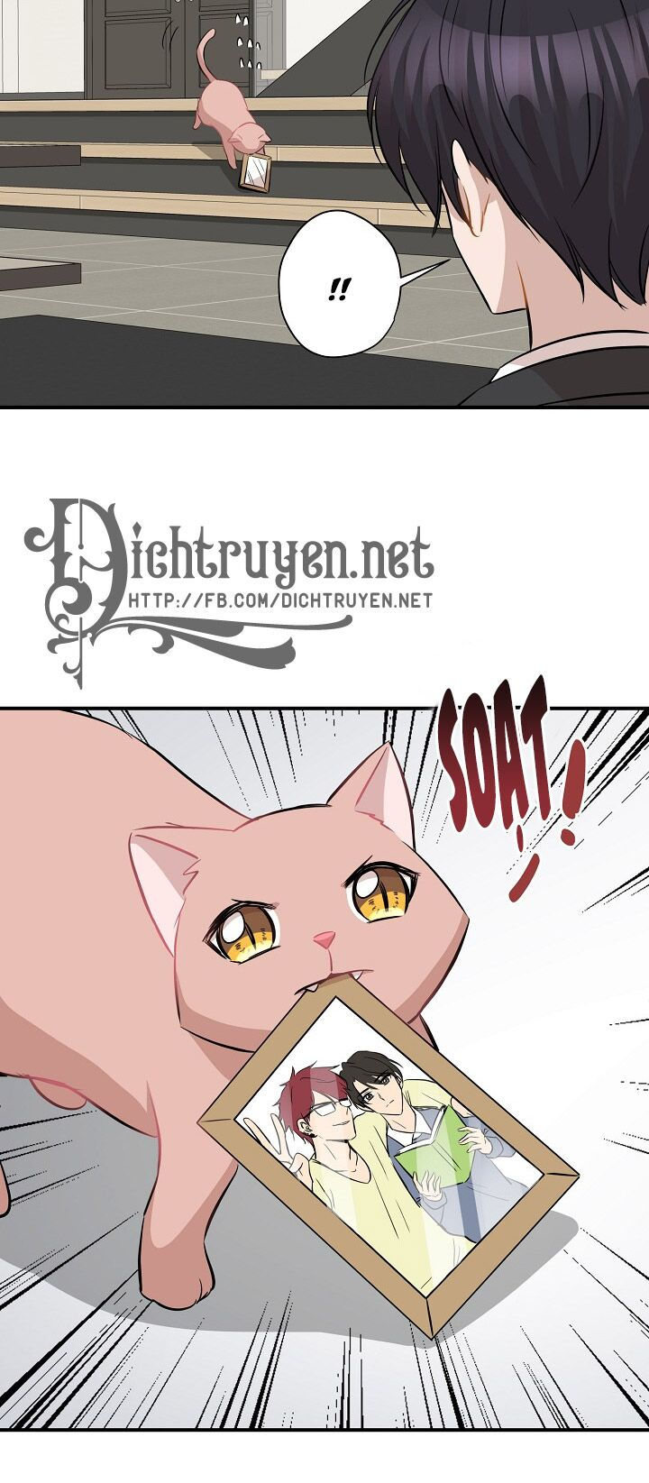 cuộc sống kỳ thú chapter 45 48