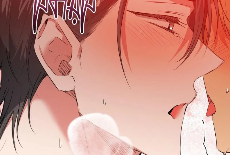 những chú thỏ của hapypy chapter 64 61