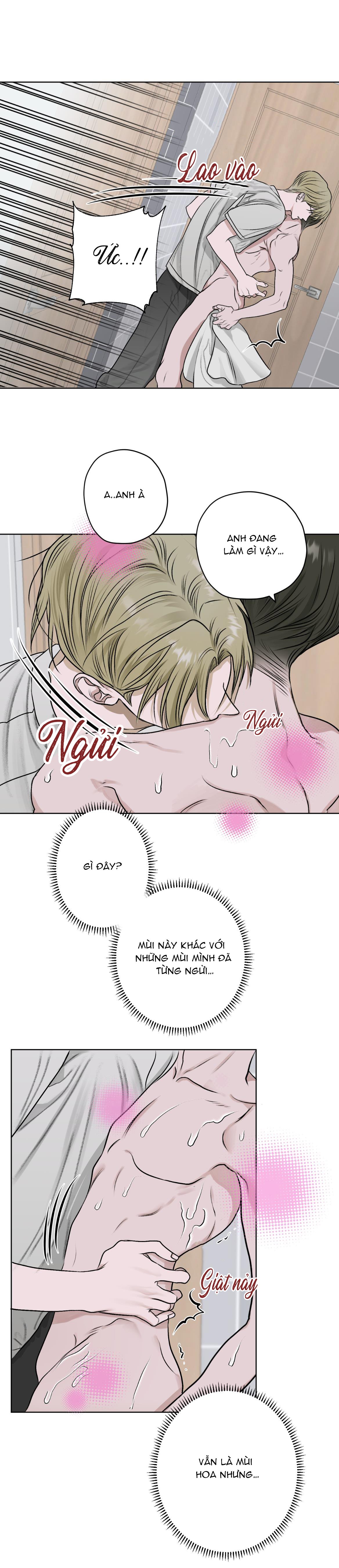 đoá hoa trên mặt hồ chapter 12 27