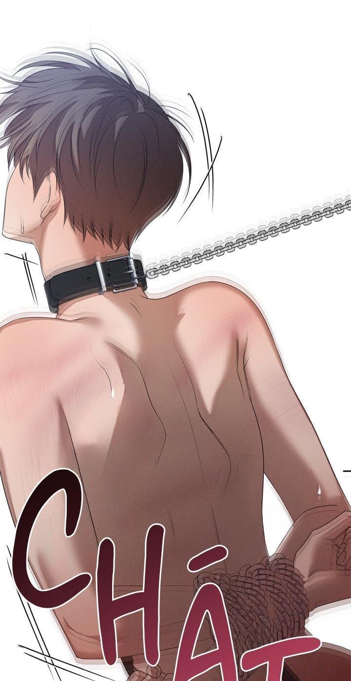 critical point chapter 51 61