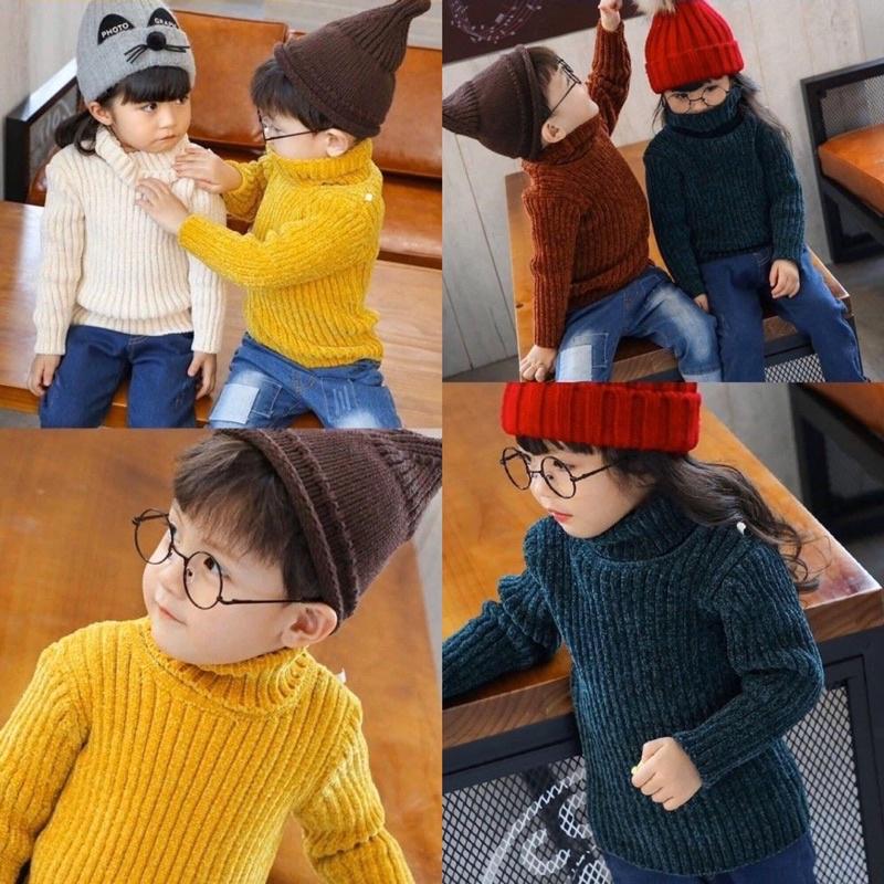 M795 Áo len tuyết nhung cổ cao