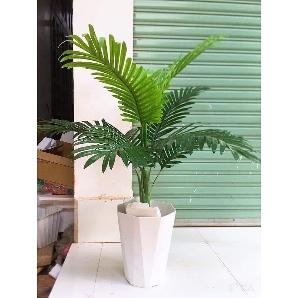 Cây giả, cây dừa cảnh 1 mét trang trí nhà cửa