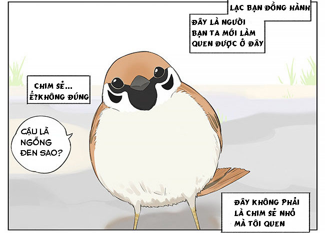 sẻ chiếu mới và nhạn phong sương chapter 9 2