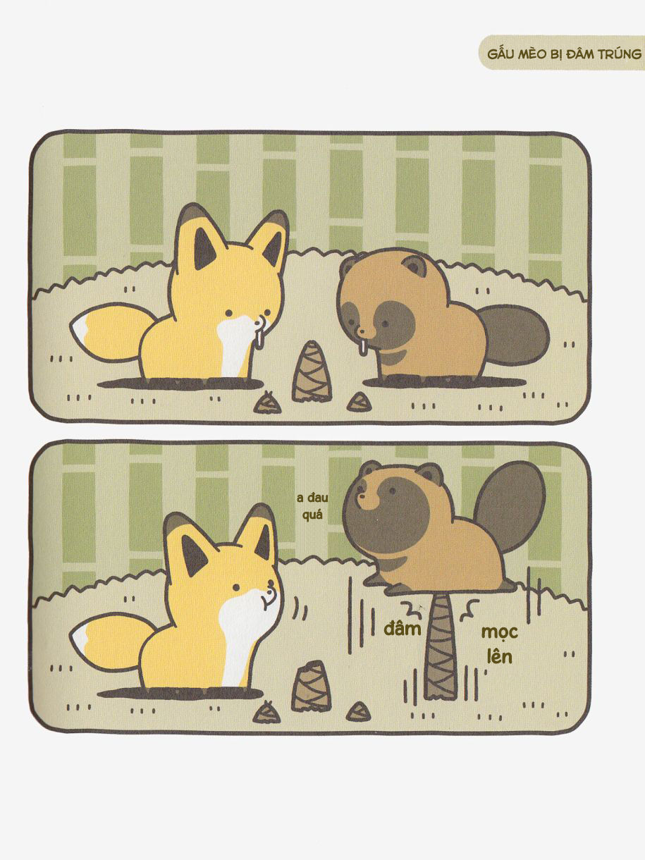 cáo và gấu mèo chapter 8 2