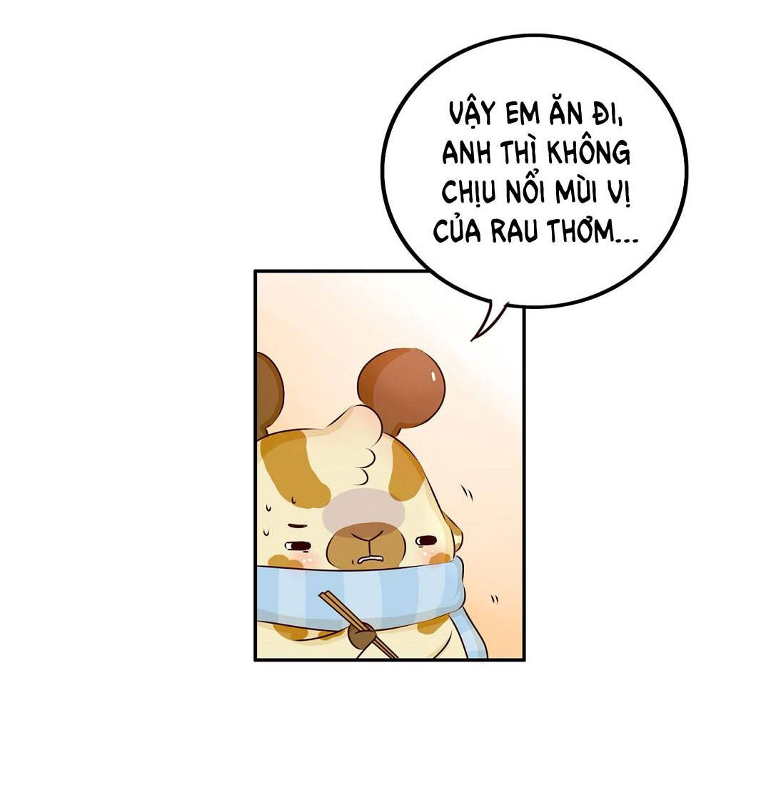 lạc chẩm cổ dài chapter 17 3