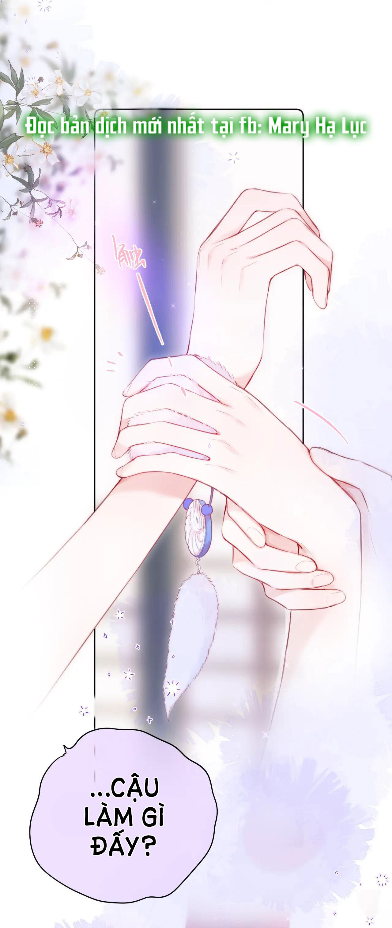 cạm bẫy của hồ ly chapter 10.1 11