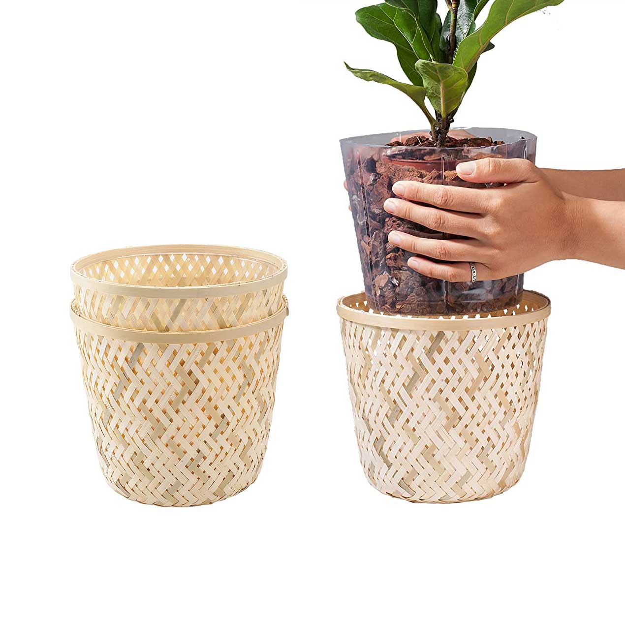 Sọt tre trắng l Sọt để vật dụng l Sọt trồng cây
