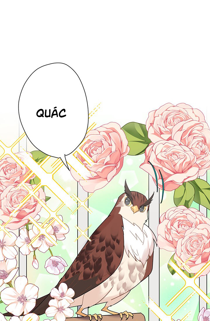 công chúa của loài chim chapter 22 85