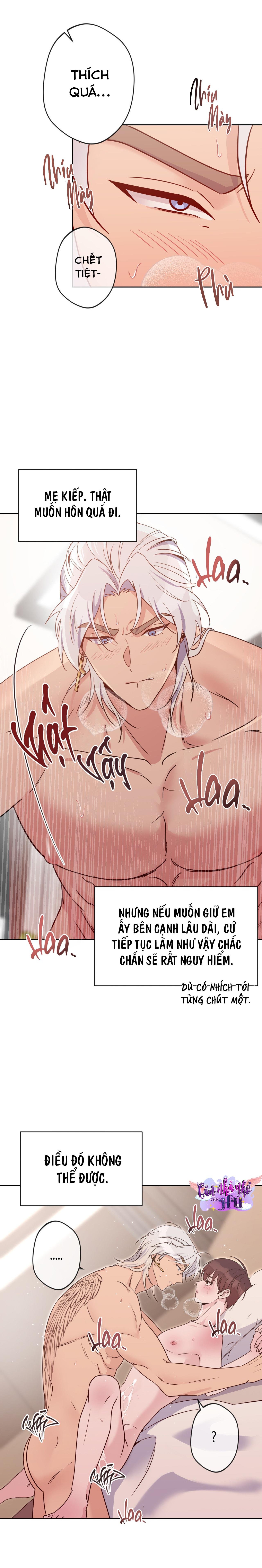 nụ hôn thiên thần chapter 22 4