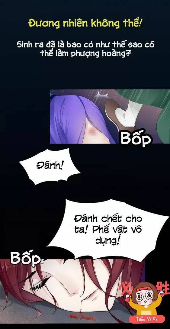 ma quân đại nhân, phu nhân lại trốn rồi! chapter 1 3