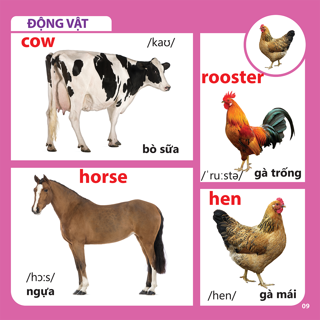 Bách Khoa Toàn Thư Cho Bé - Động Vật (Tái Bản 2019)