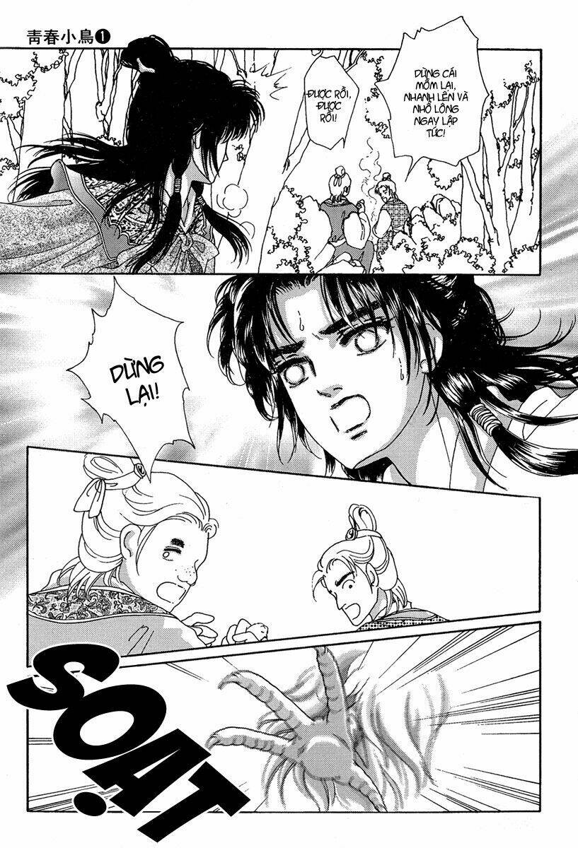 bird of youth chapter 1 44