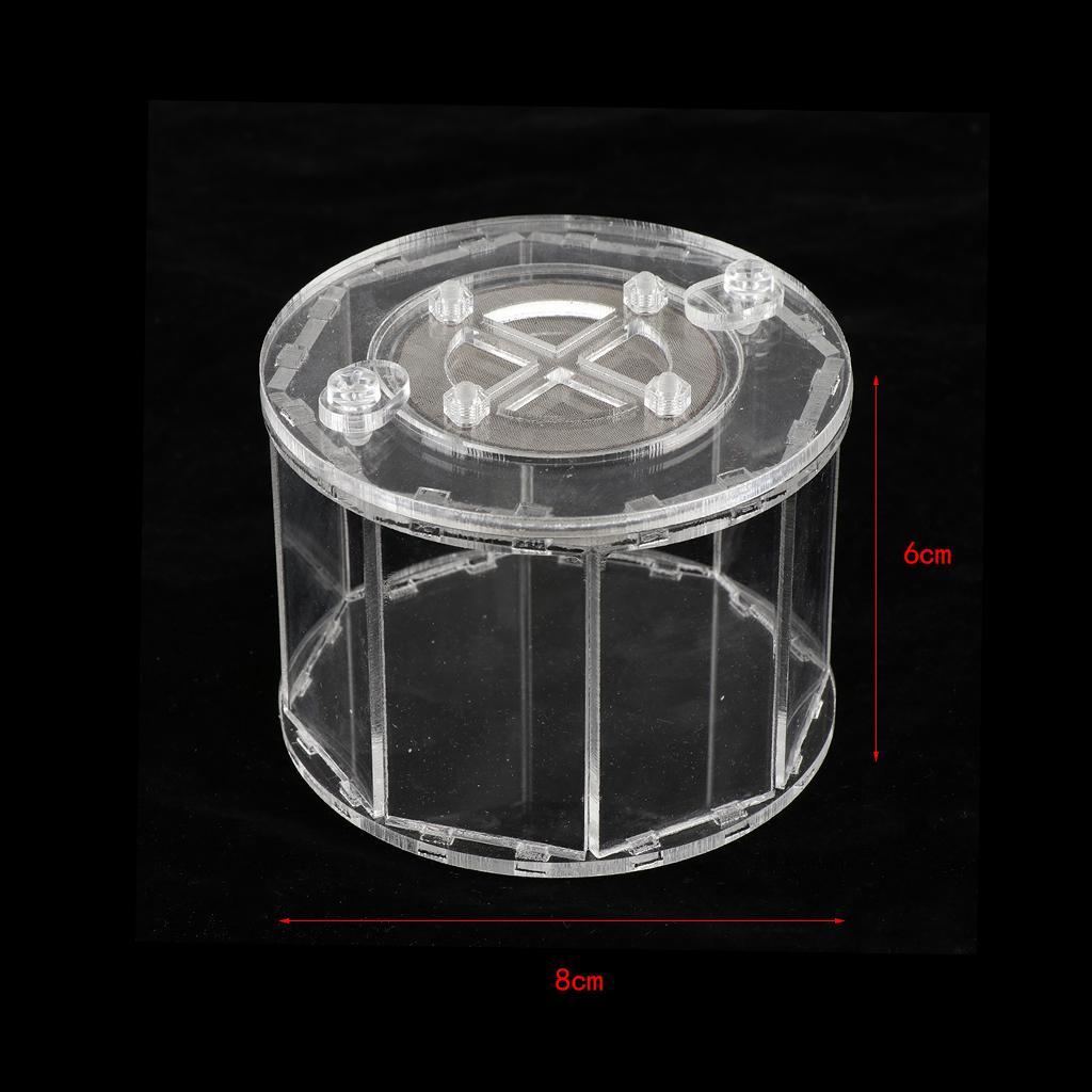 Spider Insect Reptile Tank Vivarium Cage Box Transparent Acrylic Terrarium